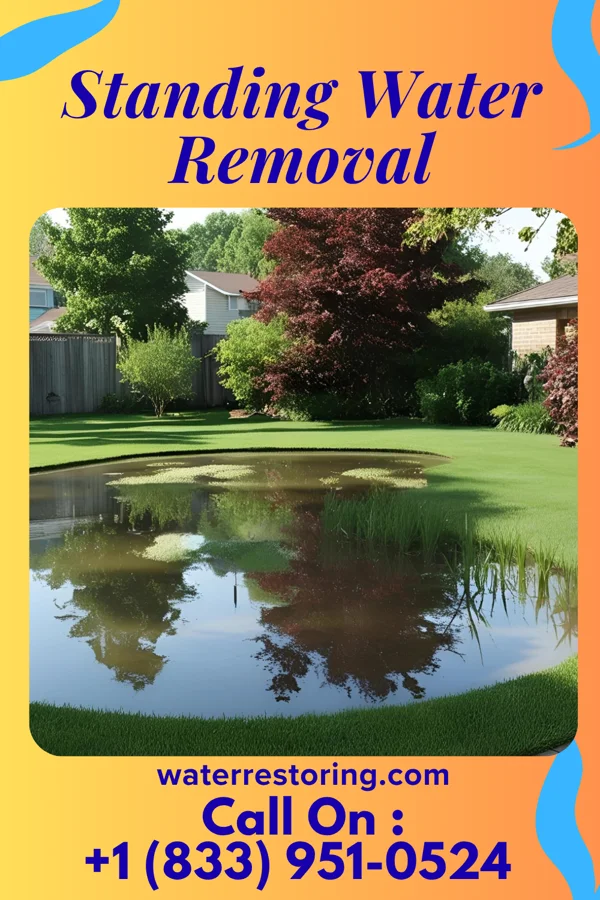 Standing Water Removal in Oxford, KS